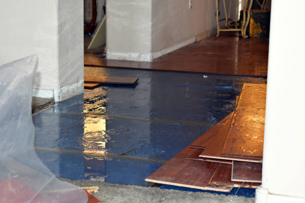 Professional Burst Pipe Cleanup technician working in Gilberton, PA